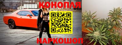 стаф Тула