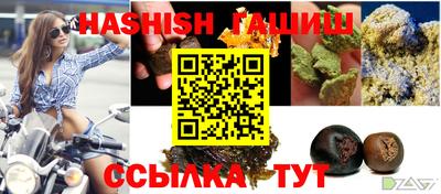 стаф Тула