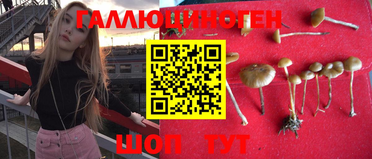 Миасс  Галлюциногенные грибы прущие грибы  Вход с VPN 